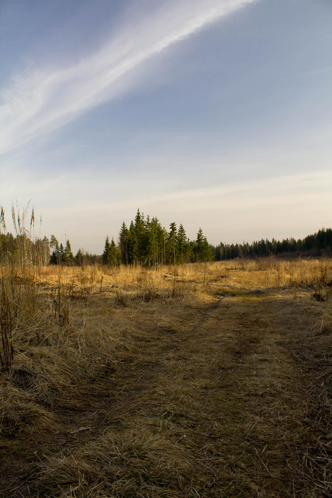 Крюково, поле 2