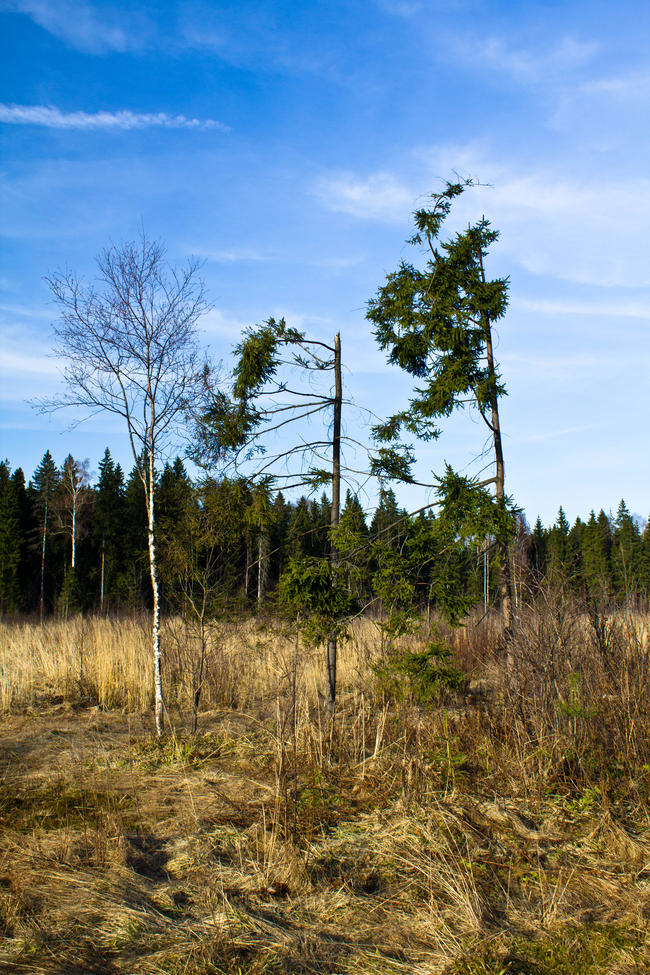 Крюково, поле 3