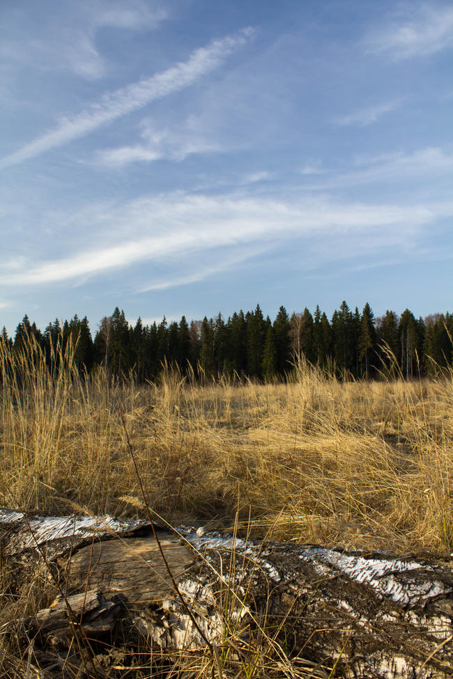 Крюково, поле 6