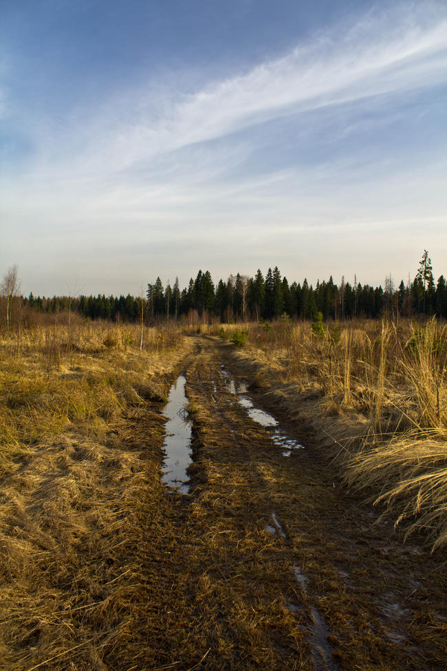 Крюково, дорога