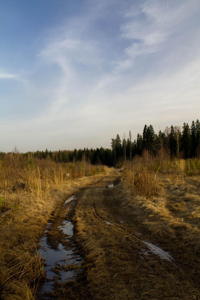 Крюково, дорога 3