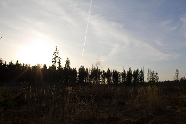 Инверсионный след 2