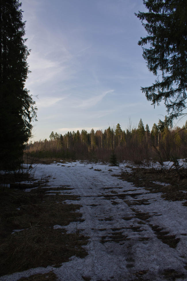 Крюково, дорога 4