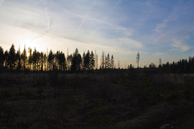 Крюково, поле 8