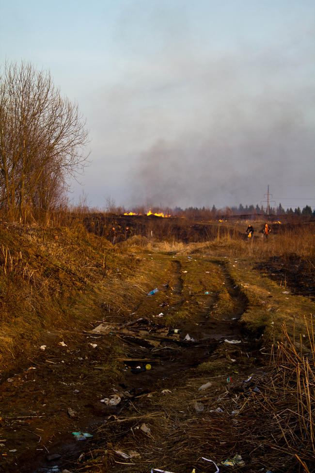 Крюково, поселок Каменка, сжигают мусор
