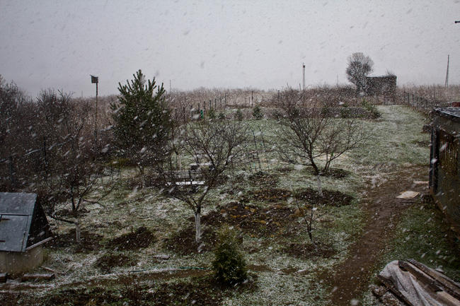 Весенний снег