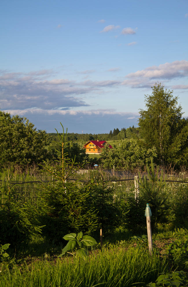 Дача, дом на пригорке